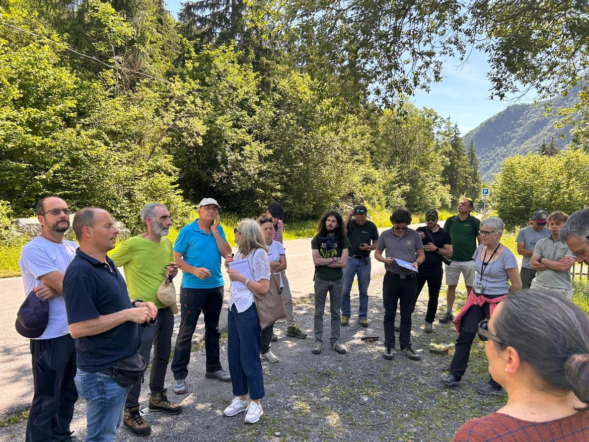 ARGE-ALP-BOSCHI-BOSCO-3.jpg