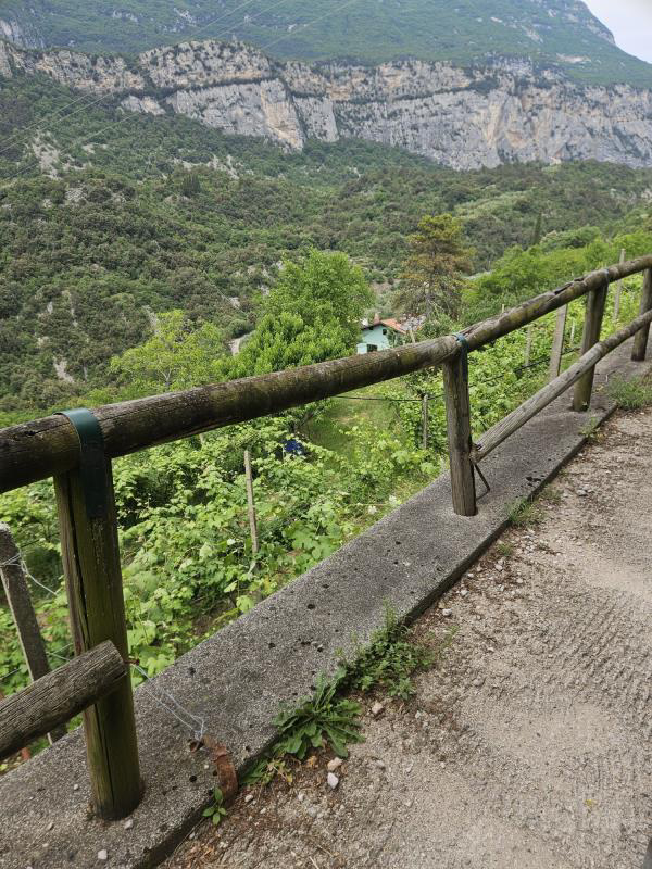 DEGRADO OLIVAIA ARCO 5