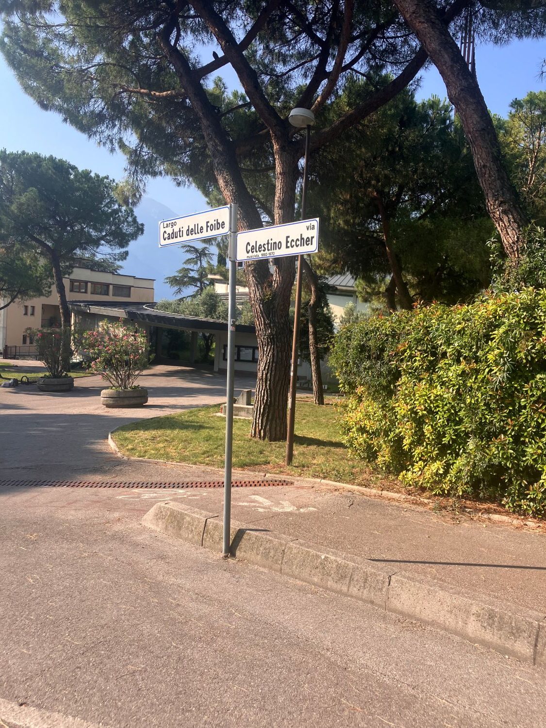 CICLABILE RIONE DEGASPERI 2026 07 (1) W