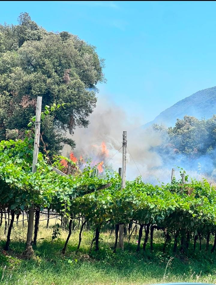 incendio lago toblino 2