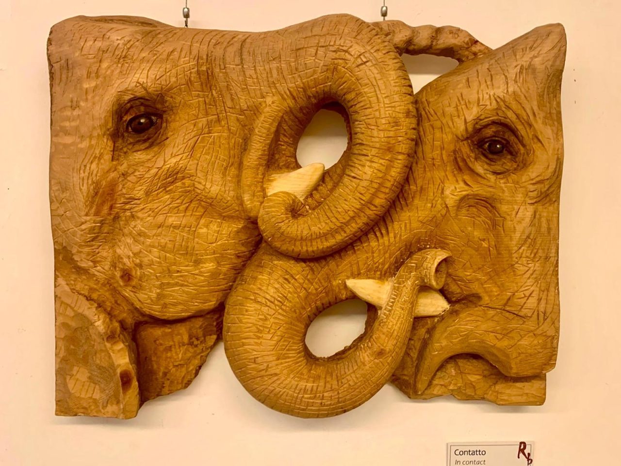 Ritratto bestiale - Arco - fino a martedì 18