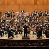 Kawai a Ledro, concerti - Ledro - da martedì 4 a sabato 22