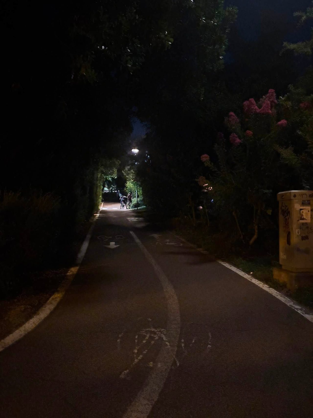 ciclabile tomasoni anna