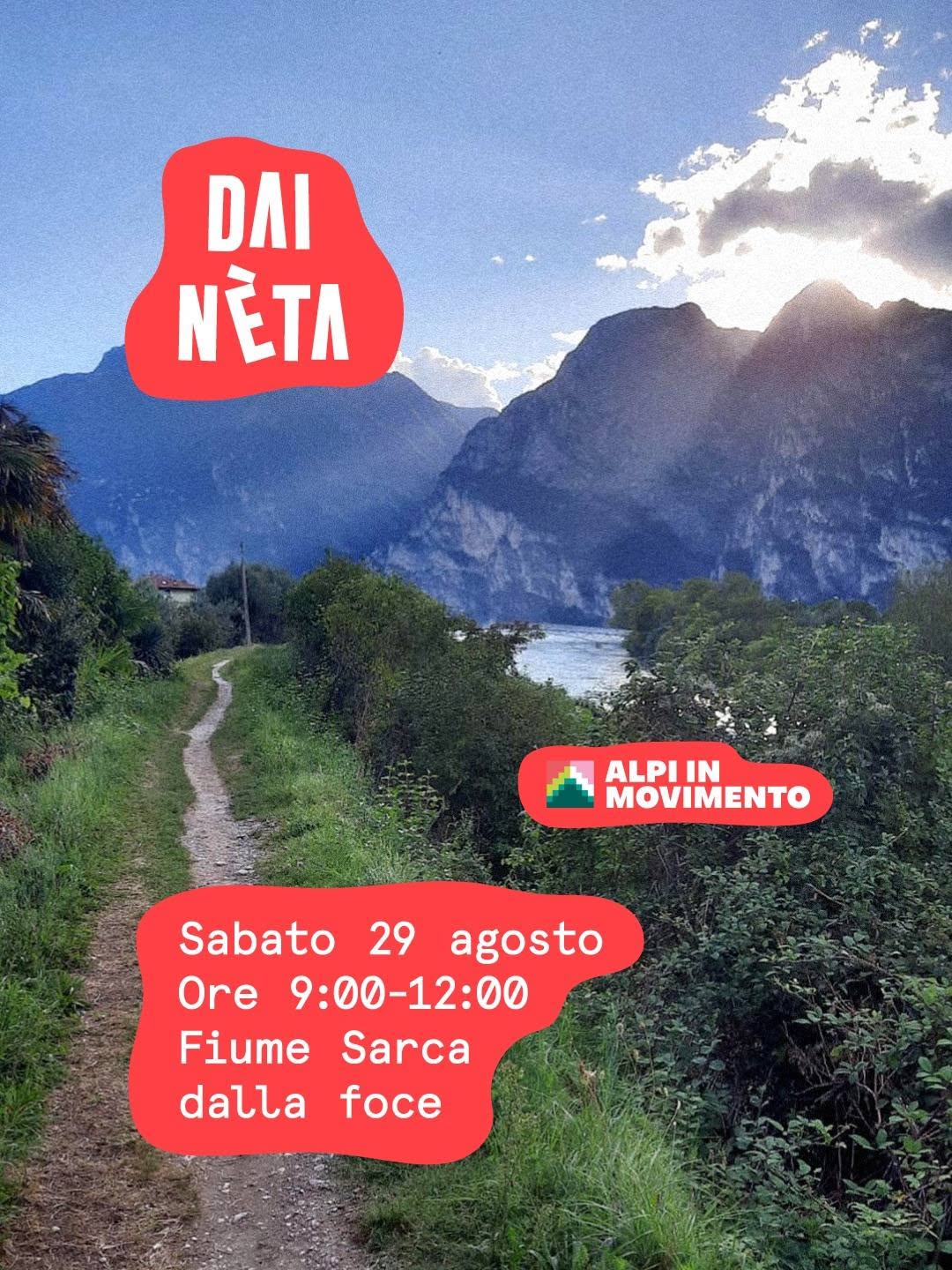 dai-neta-sarca.jpg