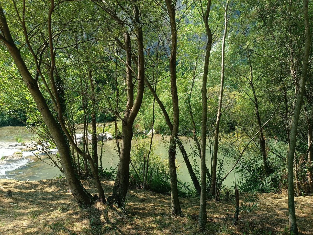 fiume-sarca-chiara-parisi-1280x960.jpg
