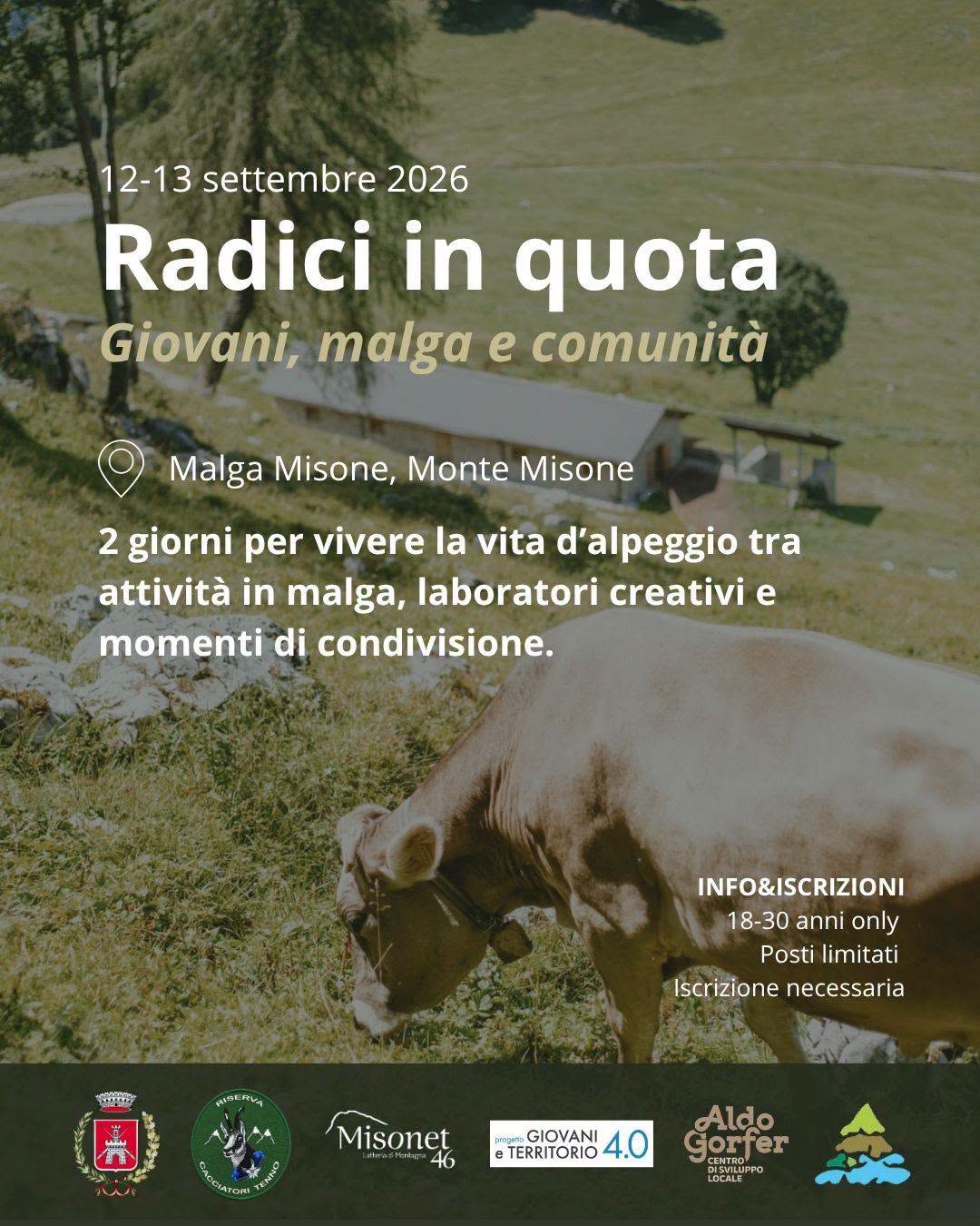 tenno - radici in quota
