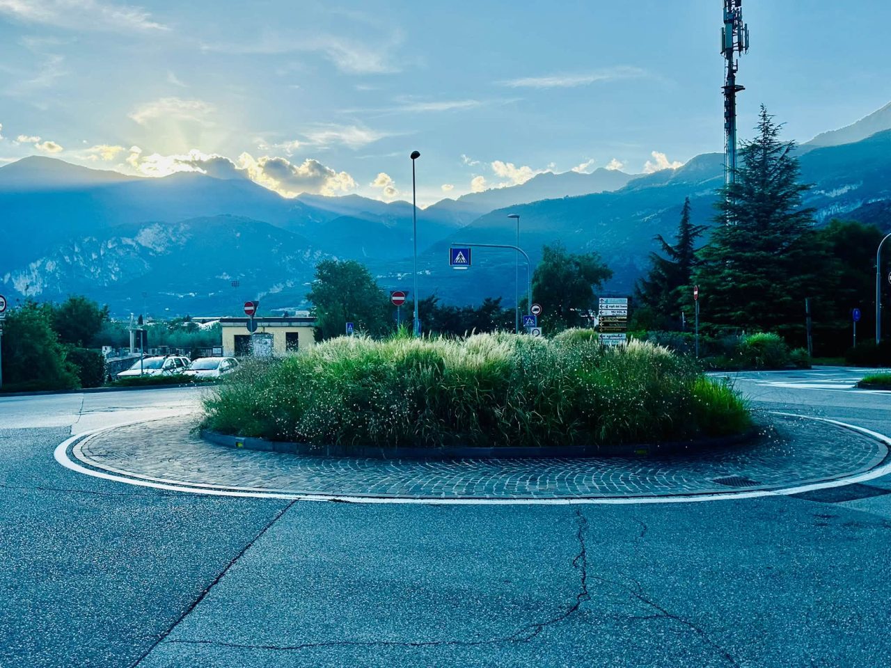 caneve rotatoria